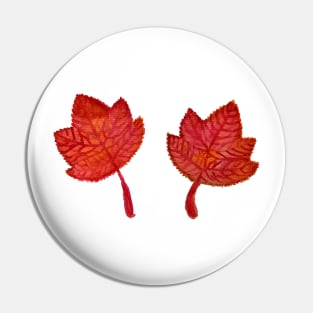 Maple leaves Pin