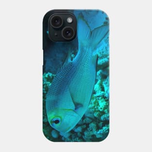 Reef Fish Phone Case