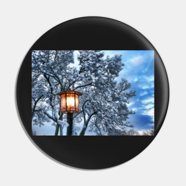 Light in the Snowy Morning Pin by vadim19