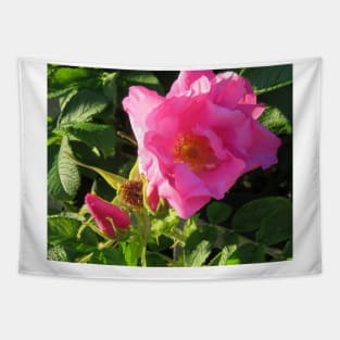 Seaside Pink Rose Tapestry