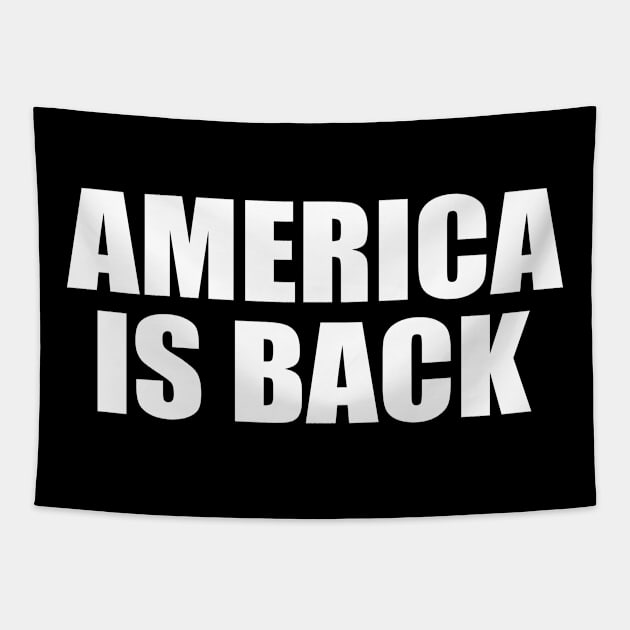 AMERICA IS BACK Tapestry by Milaino