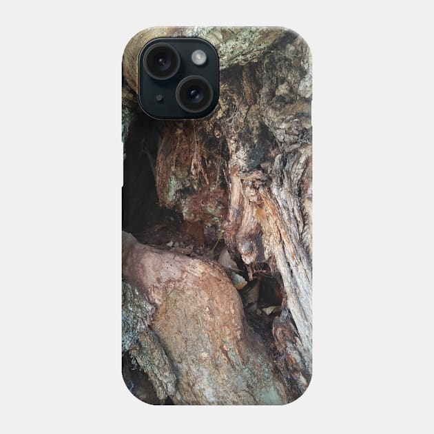gnarly wood Phone Case by Boingie