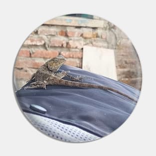 Sleeping Iguana Portrait Pin