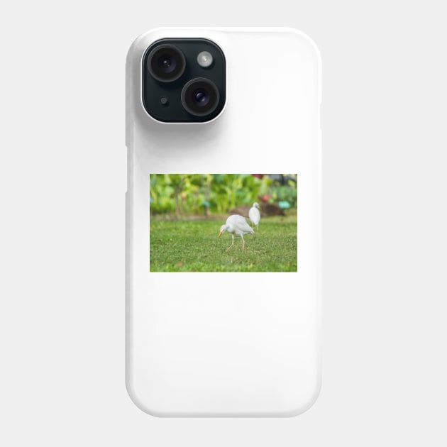 Cattle Egret 2 + 2 Phone Case by KensLensDesigns