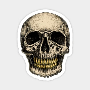 Vintage skull with golden teeth Magnet