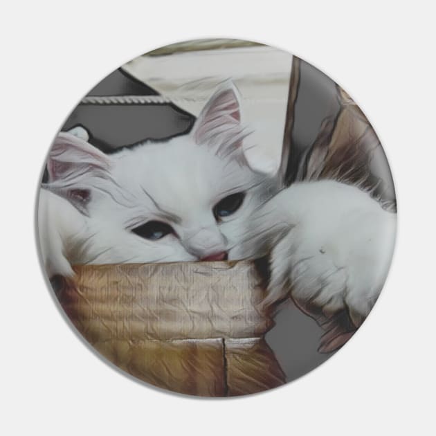 Cute lap cat Pin by Kielly