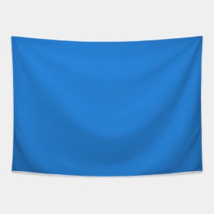 Primary Blue Plain Solid Color Tapestry