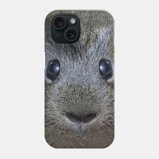 Guinea Pig Face Phone Case