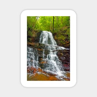 Laurel Falls, Great Smoky Mountains Magnet