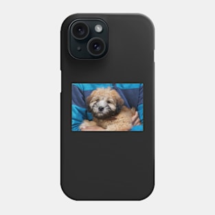 Soft coated Wheaten Terrier puppy dog. Phone Case