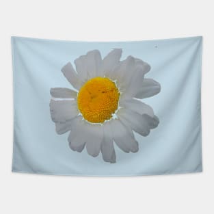 Daisy: Natural Mandala Tapestry