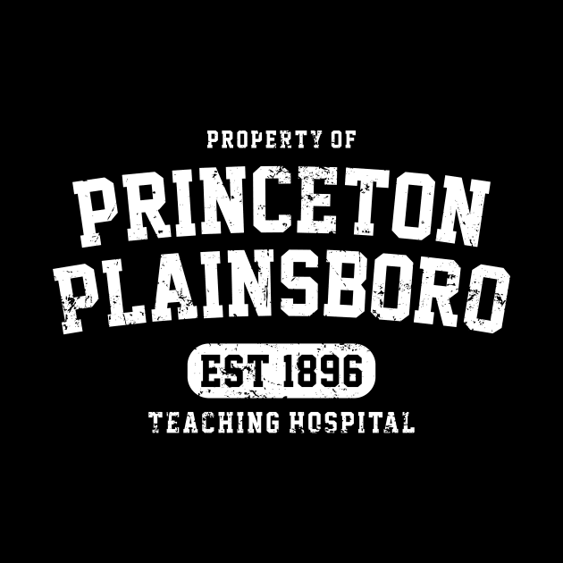 Property Of Princeton Plainsboro by Azarine