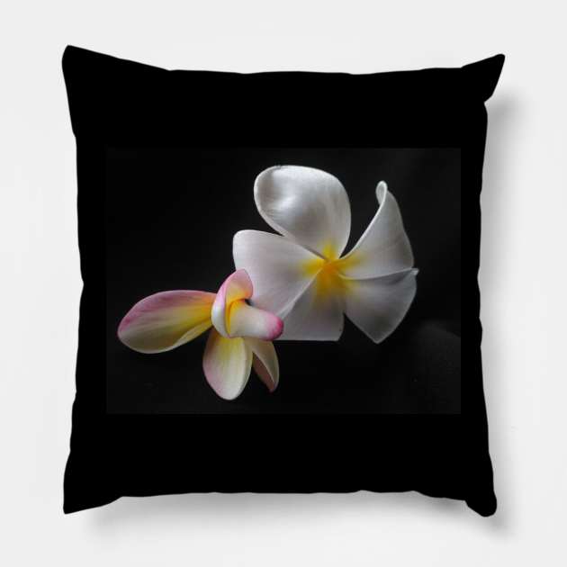 Frangipani dua Pillow by E-ShirtsEtc