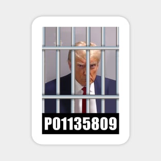 TRUMP P01135809 Mugshot Jail Election 2016 2024 President Magnet