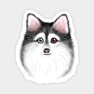 Grey and White Pomsky Magnet