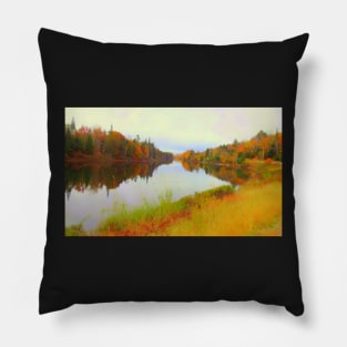 Androscoggin River 13 Mile Woods Pillow