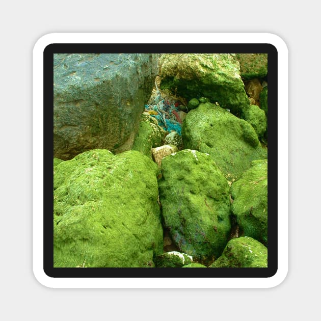 Green rocks Magnet by robelf