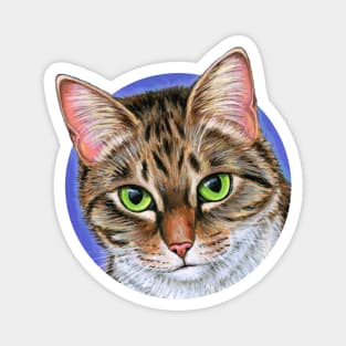 Brown Tabby Cat on Purple Magnet