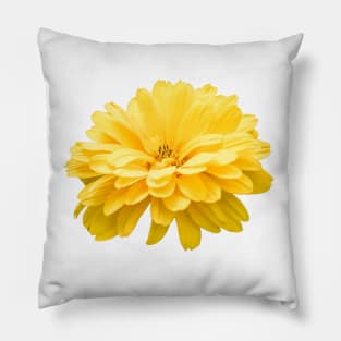 Yellow Dahlia Flower Summer Pillow