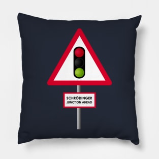 Schrodinger Junction Ahead Pillow