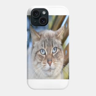 Strong cat Phone Case