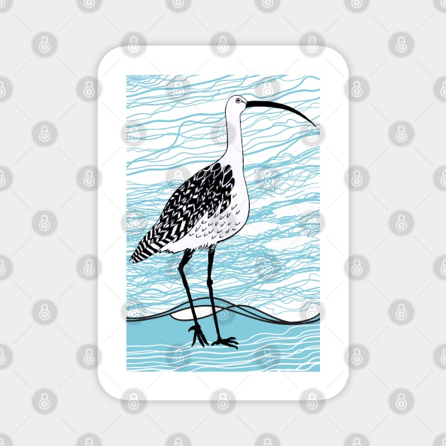 Eastern Curlew - Critically Endangered Magnet by topologydesign