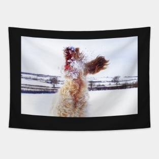 Italian Spinone Leaping Catching Snow Tapestry