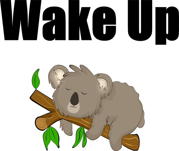 Sleeping Koala Kids T-Shirt by MariRiUA