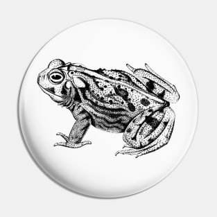 Vintage Toad Sketch Pin