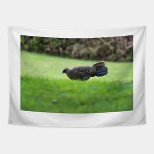Ring-necked pheasant 2 Tapestry