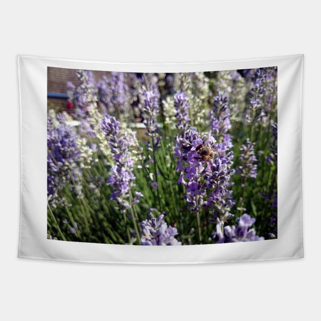 lavender Tapestry by Gourmetkater