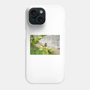 slb hummingbird Phone Case