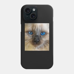 Cat with blue eyes Phone Case