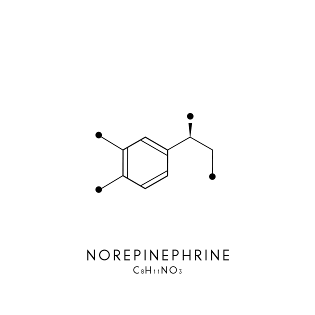 Norepinephrine Molecular Structure - White by typelab