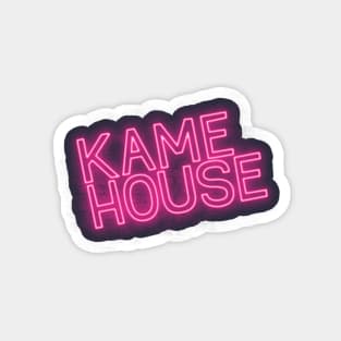 Kame neon Magnet