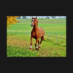 Running Horse T-Shirt