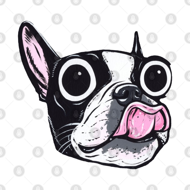 Boston Terrier Face by turddemon