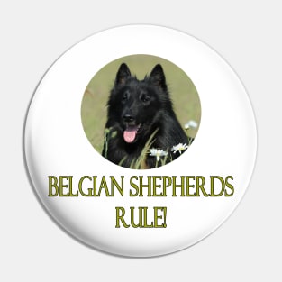 Belgian Shepherds Rule! Pin