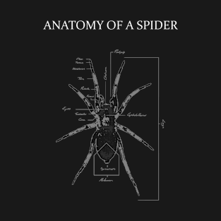 Spider Anatomy Diagram T-Shirt