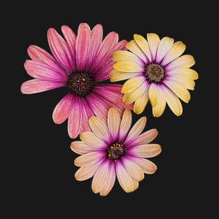 Gerber Daisy T-Shirt