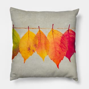 Autumn glory Pillow