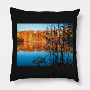 Autumn Contrast Pillow