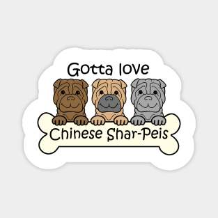 Gotta Love Shar-Peis Magnet