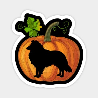 Sheltie in pumpkin Magnet