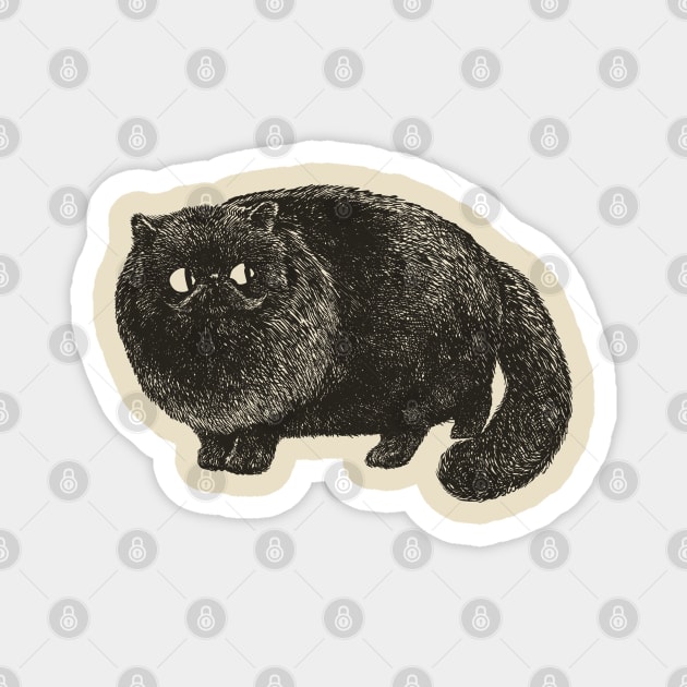 Black Cat Cat Magnet by huebucket