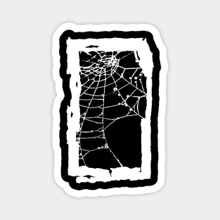 Spider Web Magnet