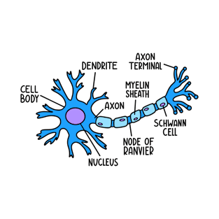 Hand Drawn Neuron Diagram T-Shirt