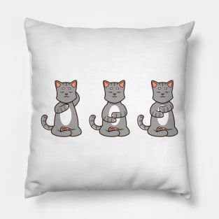 Three cats at reiki Pillow