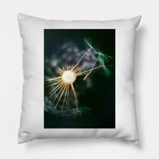 Fly Away Pillow