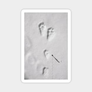 Footsteps on the sand Magnet